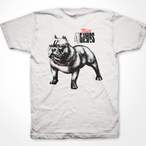 nice bulldog