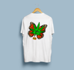 Nice Baterfly